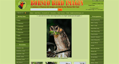 Desktop Screenshot of borneobirdimages.com